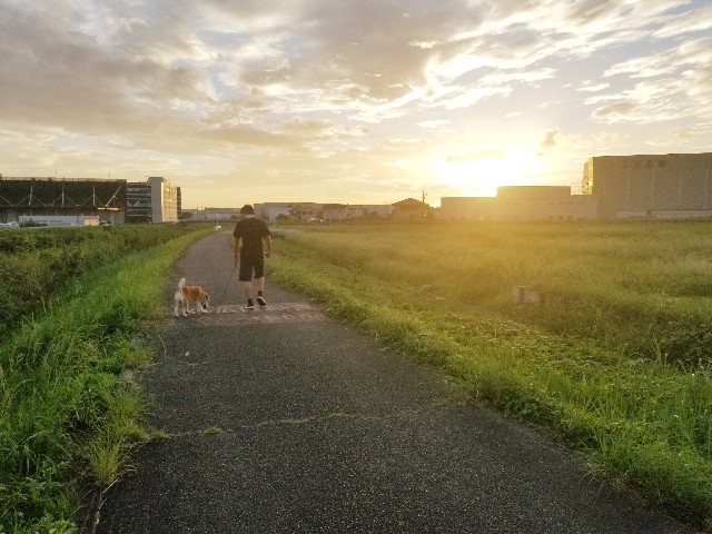 f:id:chikuwanwan1106:20240929154954j:image