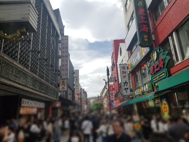 f:id:chikuwanwan1106:20241008185853j:image