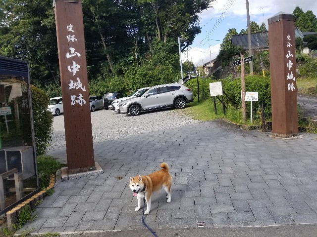 f:id:chikuwanwan1106:20241011203733j:image