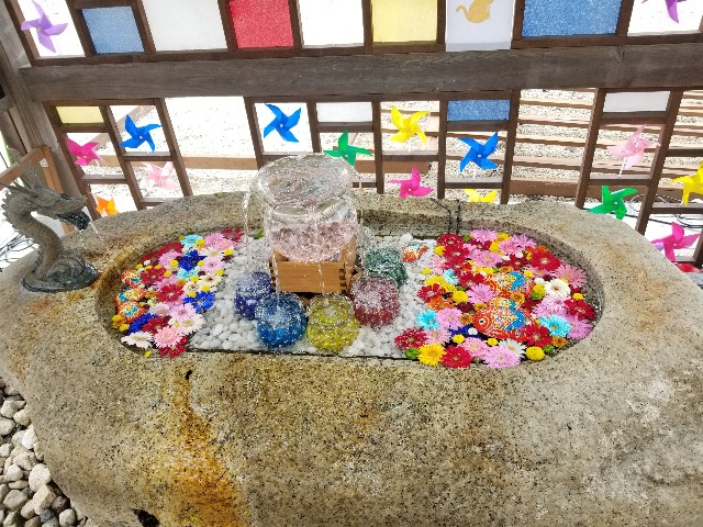 f:id:chikuwanwan1106:20241018105528j:image