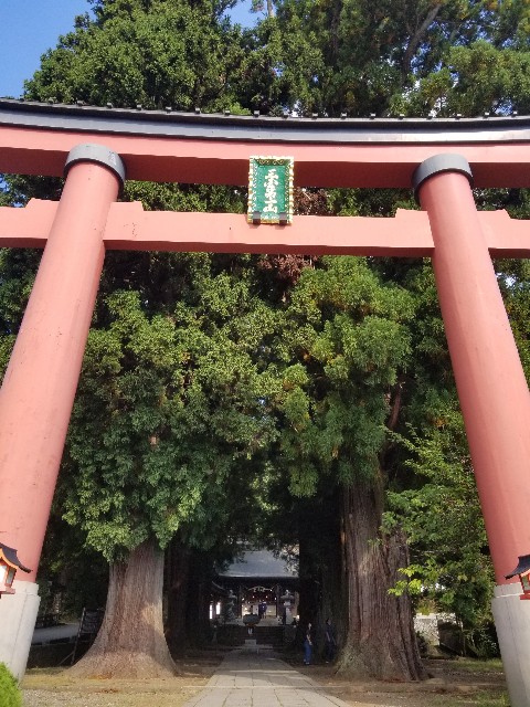 f:id:chikuwanwan1106:20241103082550j:image