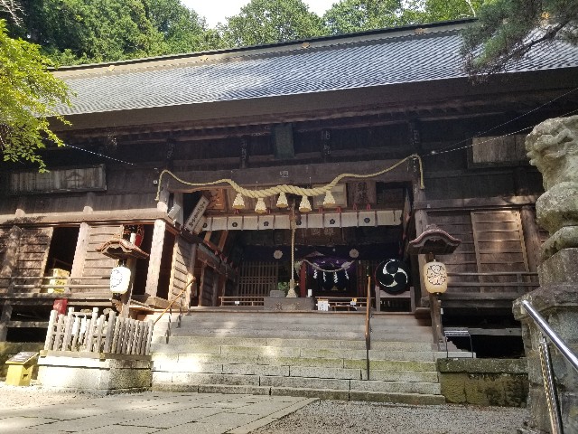 f:id:chikuwanwan1106:20241103083806j:image