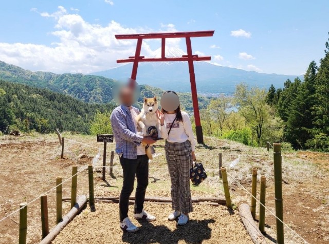 f:id:chikuwanwan1106:20241103100127j:image