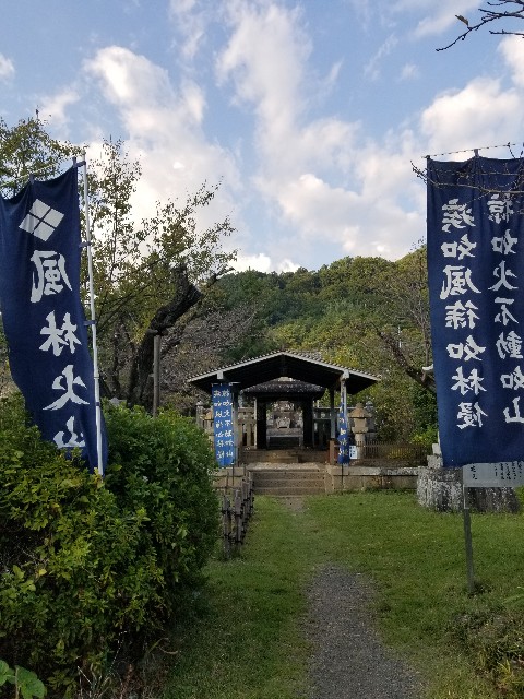 f:id:chikuwanwan1106:20241103102454j:image