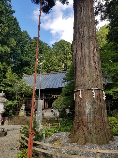 f:id:chikuwanwan1106:20241103111716j:image