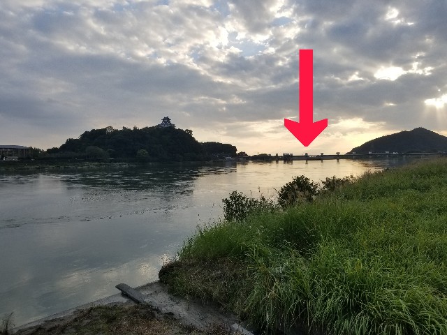 f:id:chikuwanwan1106:20241122210045j:image