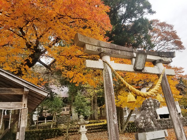 f:id:chikuwanwan1106:20241129100640j:image