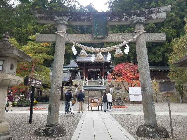 f:id:chikuwanwan1106:20241130104138j:image