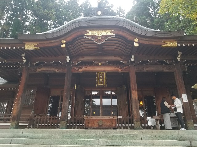f:id:chikuwanwan1106:20241130105258j:image