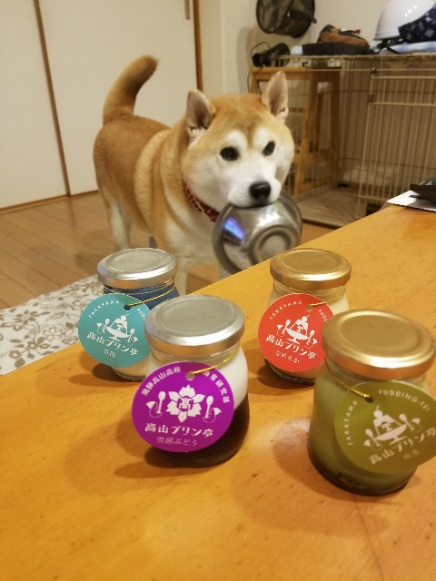 f:id:chikuwanwan1106:20241130105724j:image