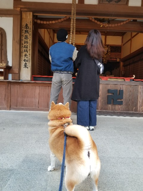 f:id:chikuwanwan1106:20241221051411j:image