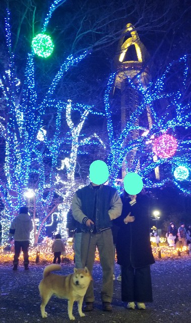f:id:chikuwanwan1106:20241224233405j:image