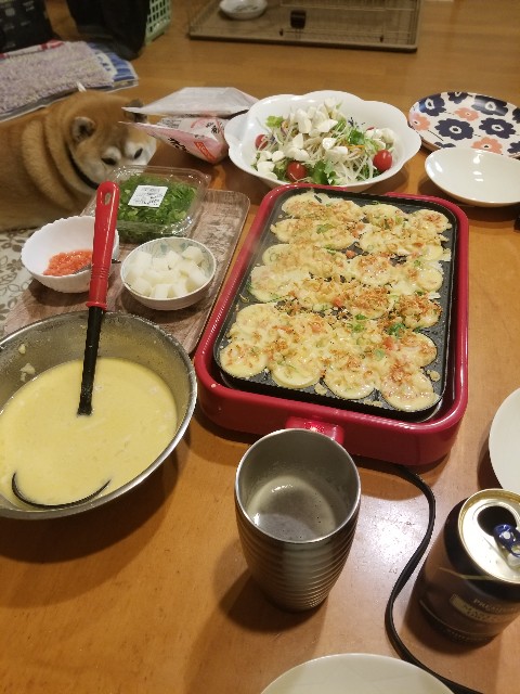 f:id:chikuwanwan1106:20250107121958j:image