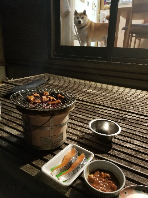 f:id:chikuwanwan1106:20250111104858j:image