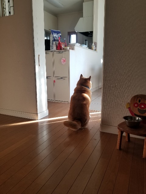 f:id:chikuwanwan1106:20250219102740j:image