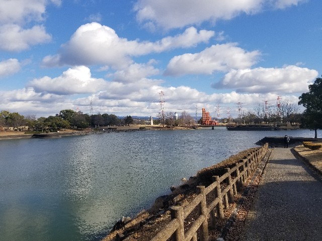 f:id:chikuwanwan1106:20250219192221j:image