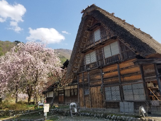 f:id:chikuwanwan1106:20250514002204j:image