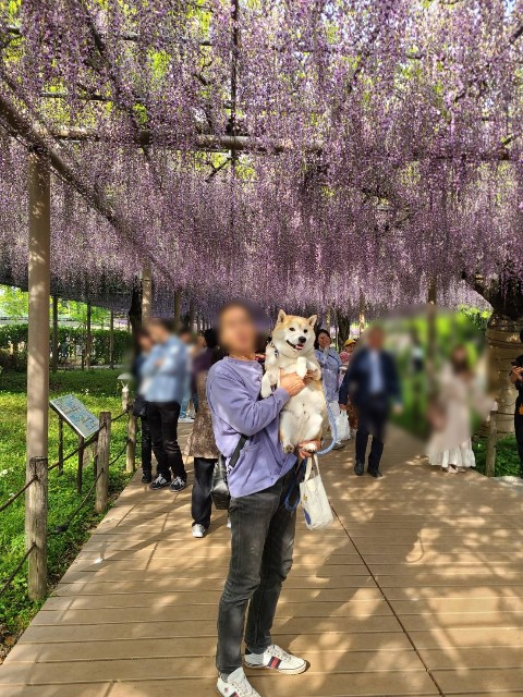 f:id:chikuwanwan1106:20250520074829j:image