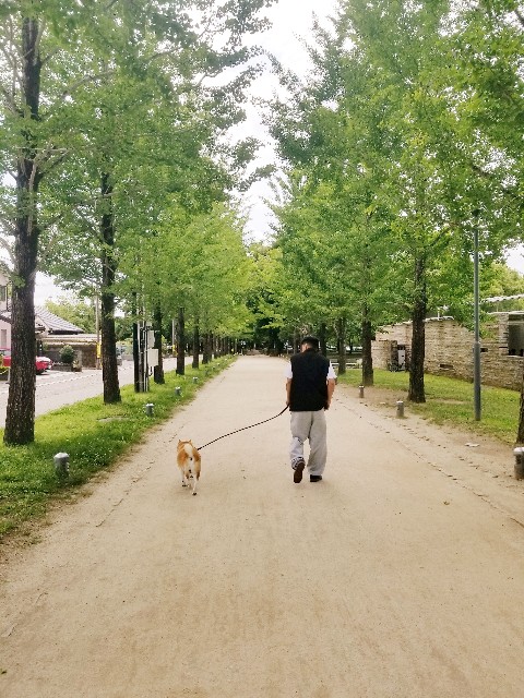 f:id:chikuwanwan1106:20250614165800j:image