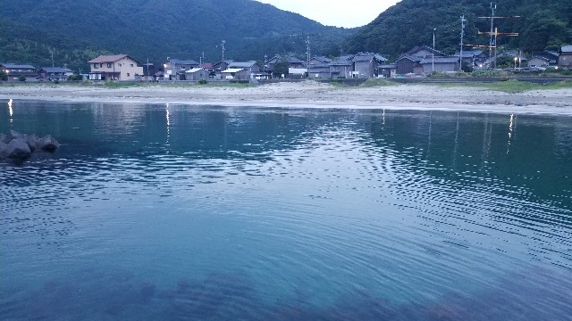 f:id:chikuwanwan1106:20250703100635j:image