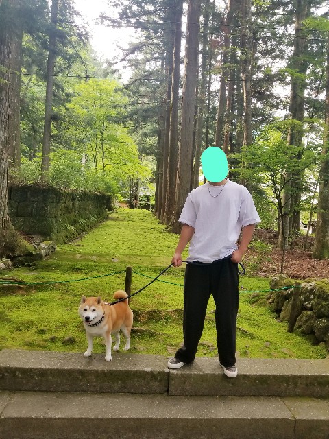 f:id:chikuwanwan1106:20250715201853j:image