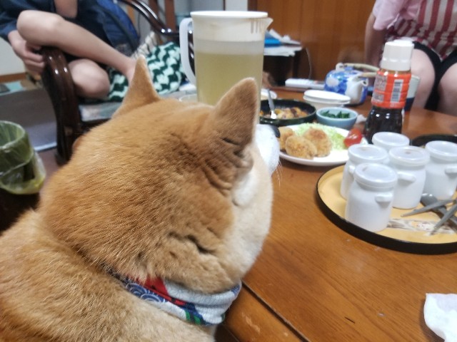 f:id:chikuwanwan1106:20250805051527j:image f:id:chikuwanwan1106:20250805051527j:image
