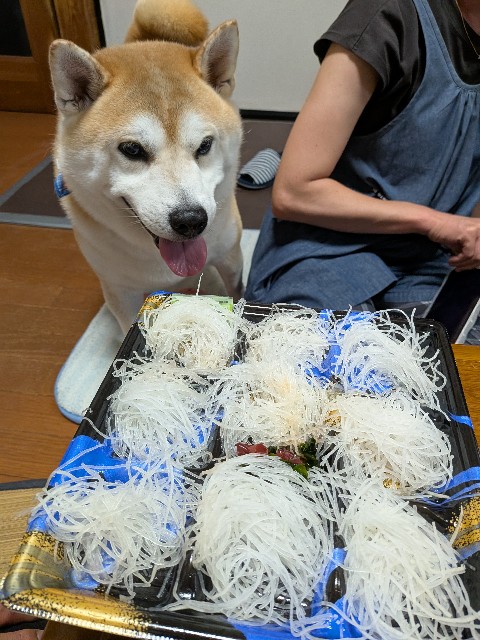 f:id:chikuwanwan1106:20250903121916j:image