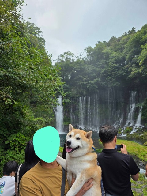 f:id:chikuwanwan1106:20250908174946j:image f:id:chikuwanwan1106:20250908174946j:image