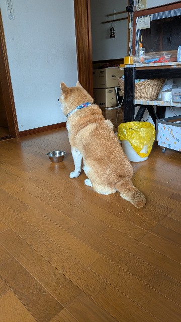 f:id:chikuwanwan1106:20250921161922j:image