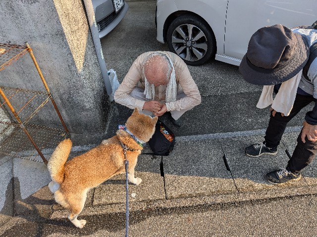 f:id:chikuwanwan1106:20250930075243j:image