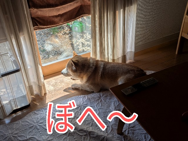 f:id:chikuwanwan1106:20251007150802j:image