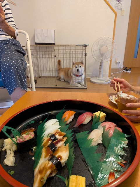 f:id:chikuwanwan1106:20251007205022j:image
