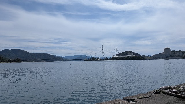 f:id:chikuwanwan1106:20251020100526j:image f:id:chikuwanwan1106:20251020100526j:image