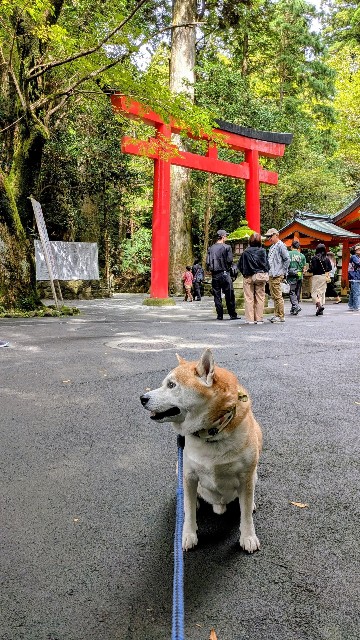 f:id:chikuwanwan1106:20251108074544j:image