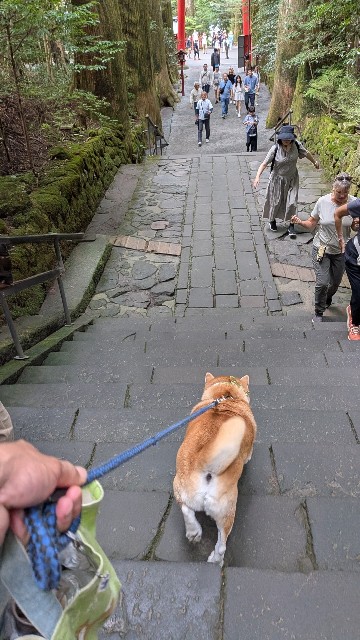 f:id:chikuwanwan1106:20251108075327j:image