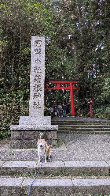 f:id:chikuwanwan1106:20251108123624j:image