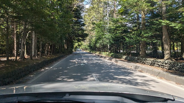 f:id:chikuwanwan1106:20251112100744j:image