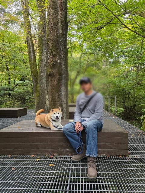 f:id:chikuwanwan1106:20251113122043j:image