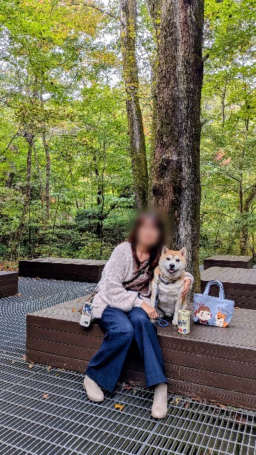 f:id:chikuwanwan1106:20251113122051j:image