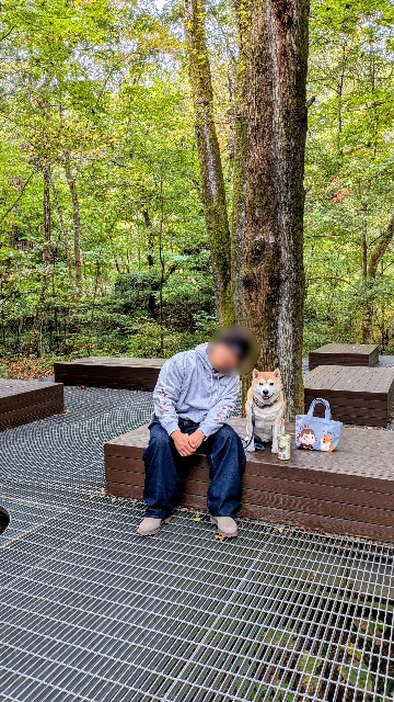 f:id:chikuwanwan1106:20251113122100j:image