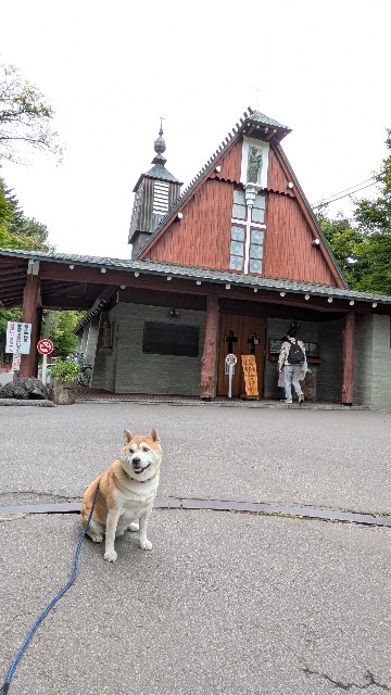 f:id:chikuwanwan1106:20251113190333j:image