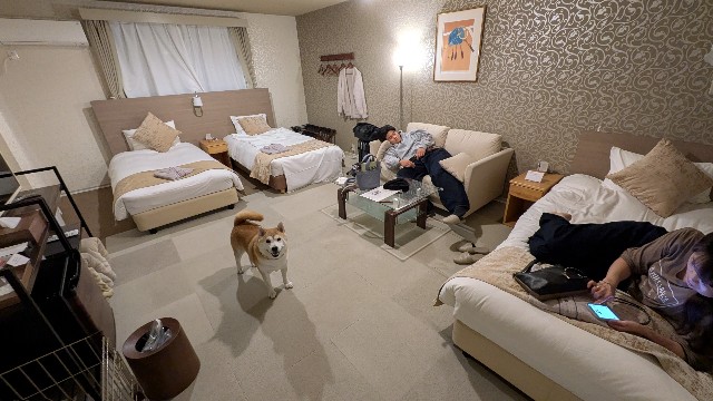 f:id:chikuwanwan1106:20251116091155j:image