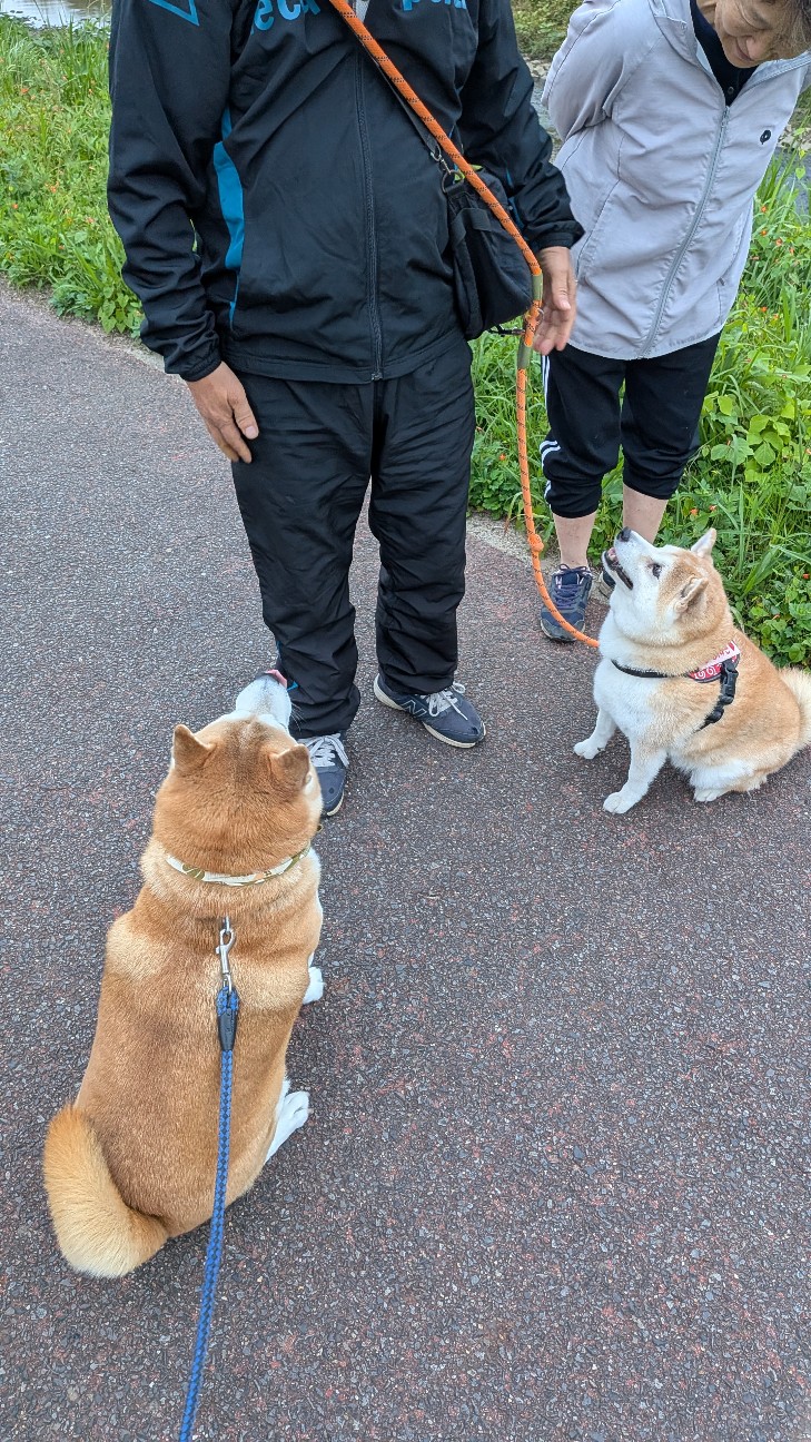 f:id:chikuwanwan1106:20251121100405j:image