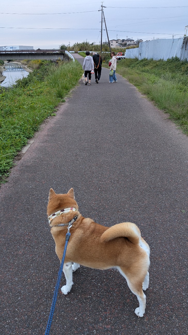 f:id:chikuwanwan1106:20251121100554j:image