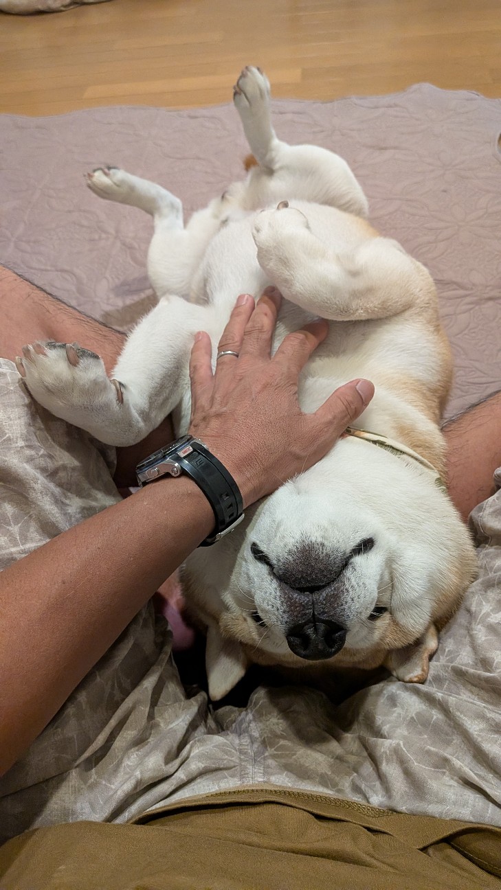 f:id:chikuwanwan1106:20251122065743j:image