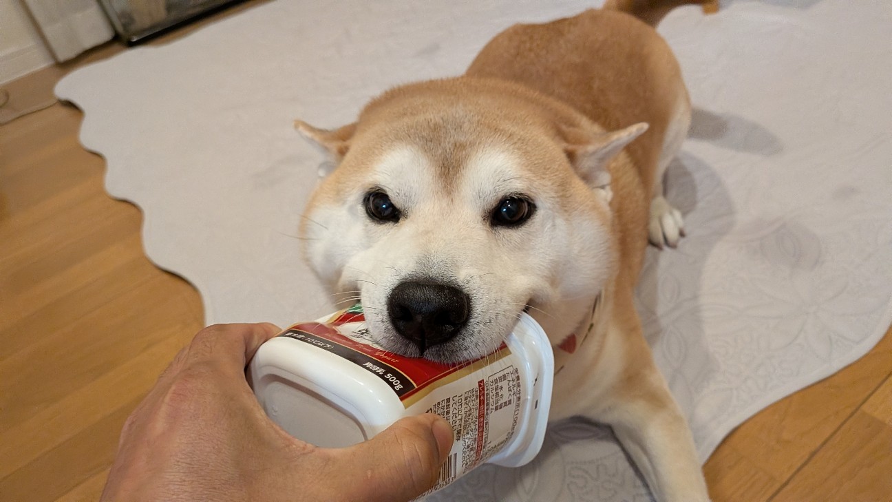 f:id:chikuwanwan1106:20251122165922j:image