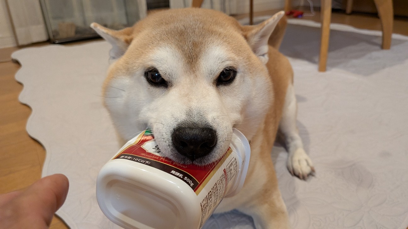 f:id:chikuwanwan1106:20251122170246j:image