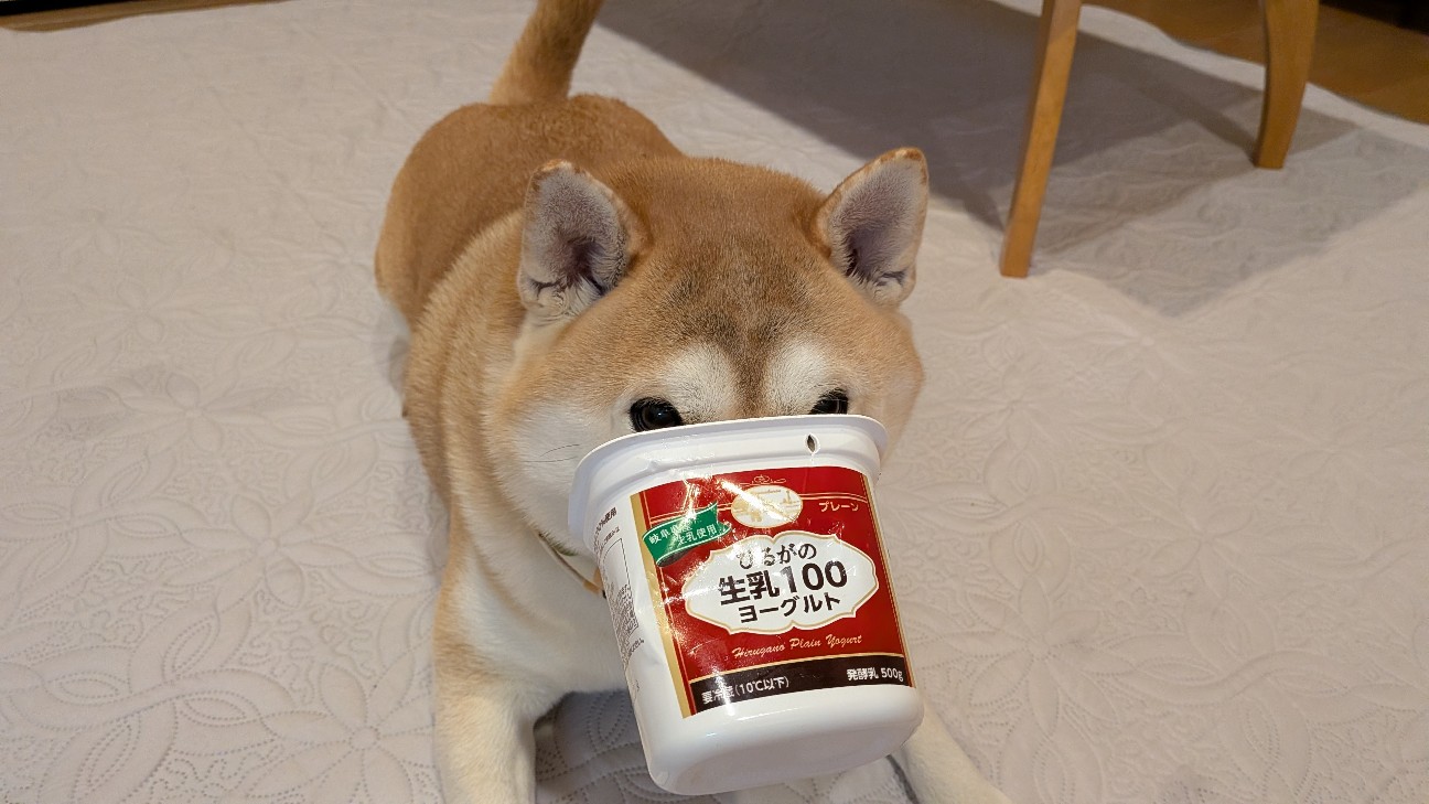 f:id:chikuwanwan1106:20251122171848j:image