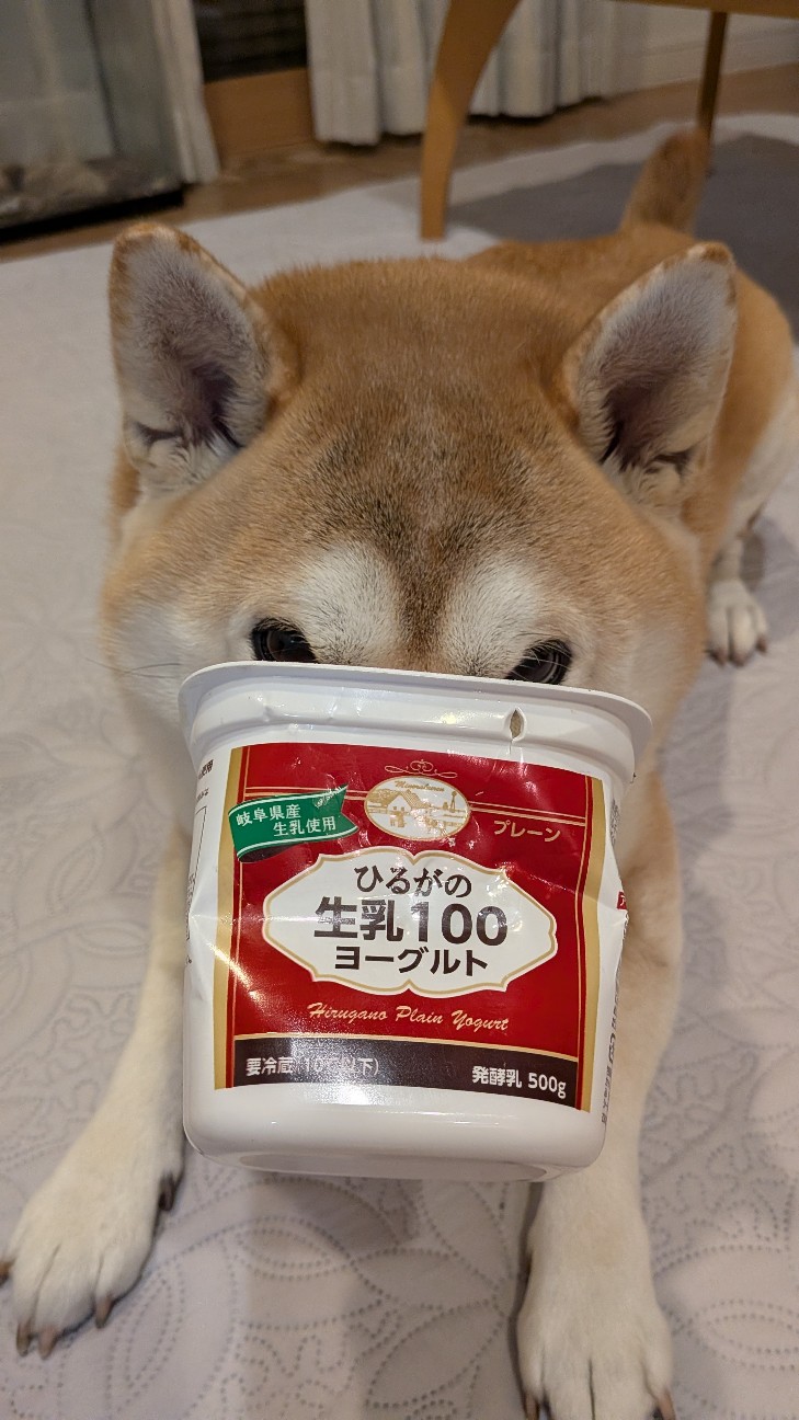 f:id:chikuwanwan1106:20251122171938j:image