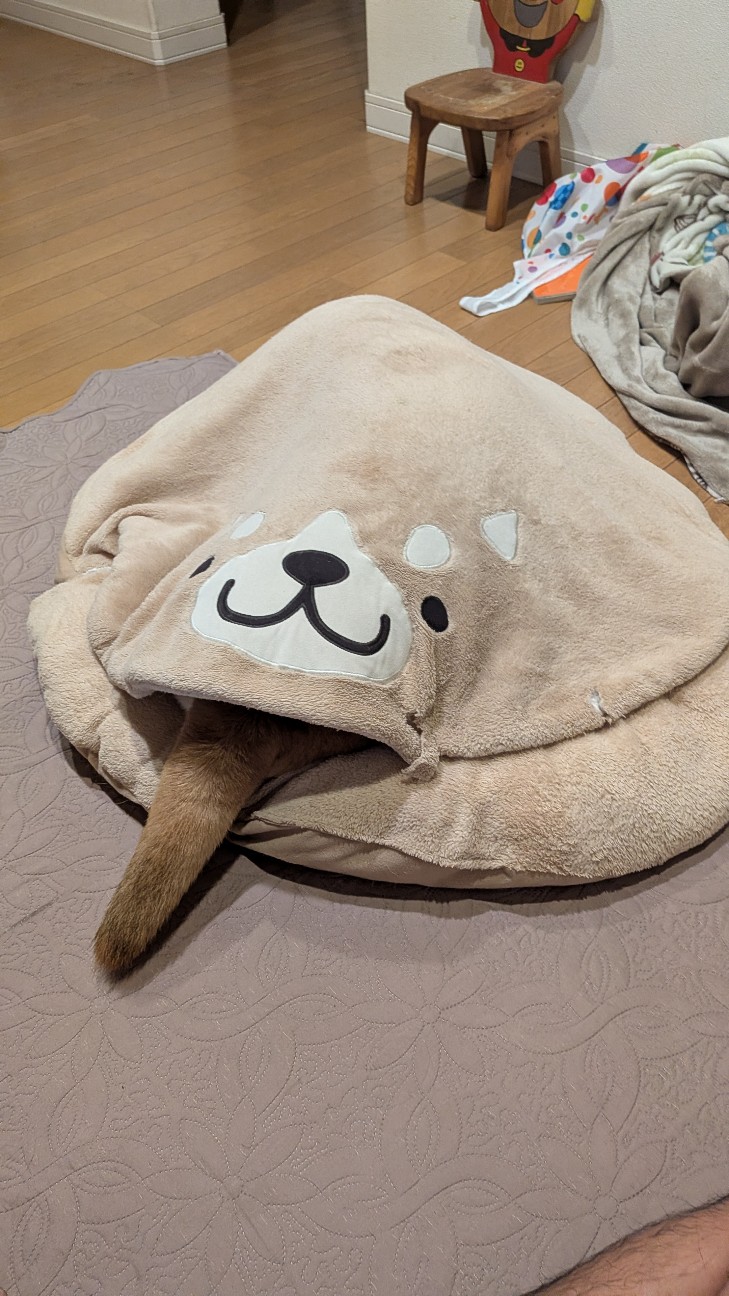 f:id:chikuwanwan1106:20251122172355j:image